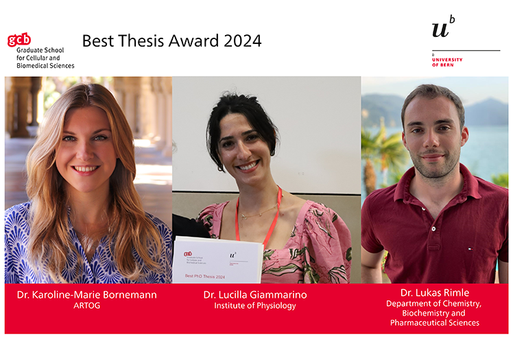 Best PhD thesis award 2024